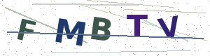 Security check image